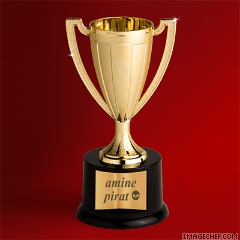 trooo cooll   amine  pirat  100%